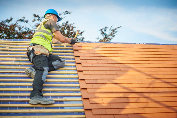 Best Roof Insulation Installation  in Maysville, MO
